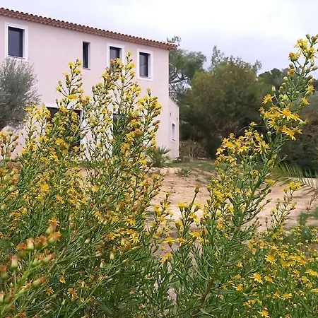 Domaine En Pleine Nature Et Tout Pres De La Plage Sanary-sur-Mer Exterior foto